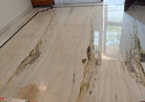 533ef7b2-edbc-4d37-bfe3-23c3ef9b7c7f